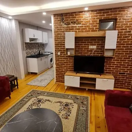 Daire One Bedroom In Istiklal Street